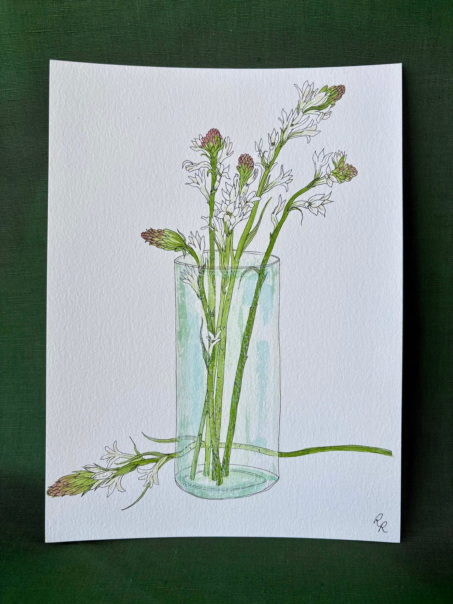Tuberose