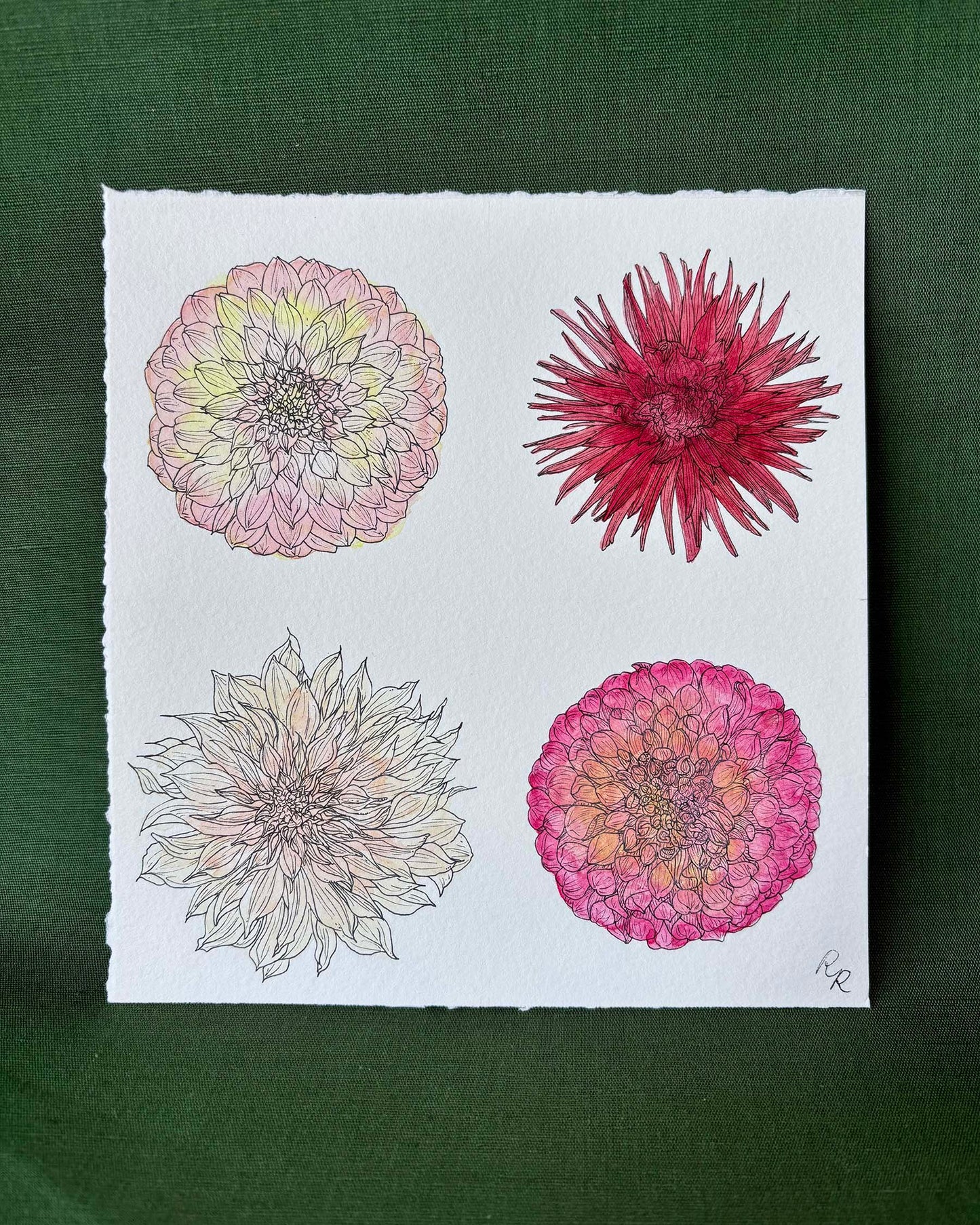 A square art featuring four hand-drawn dahlia flowers in various colors and styles, arranged in a two-by-two grid on a white sheet of textured paper