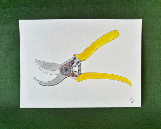 Secateurs