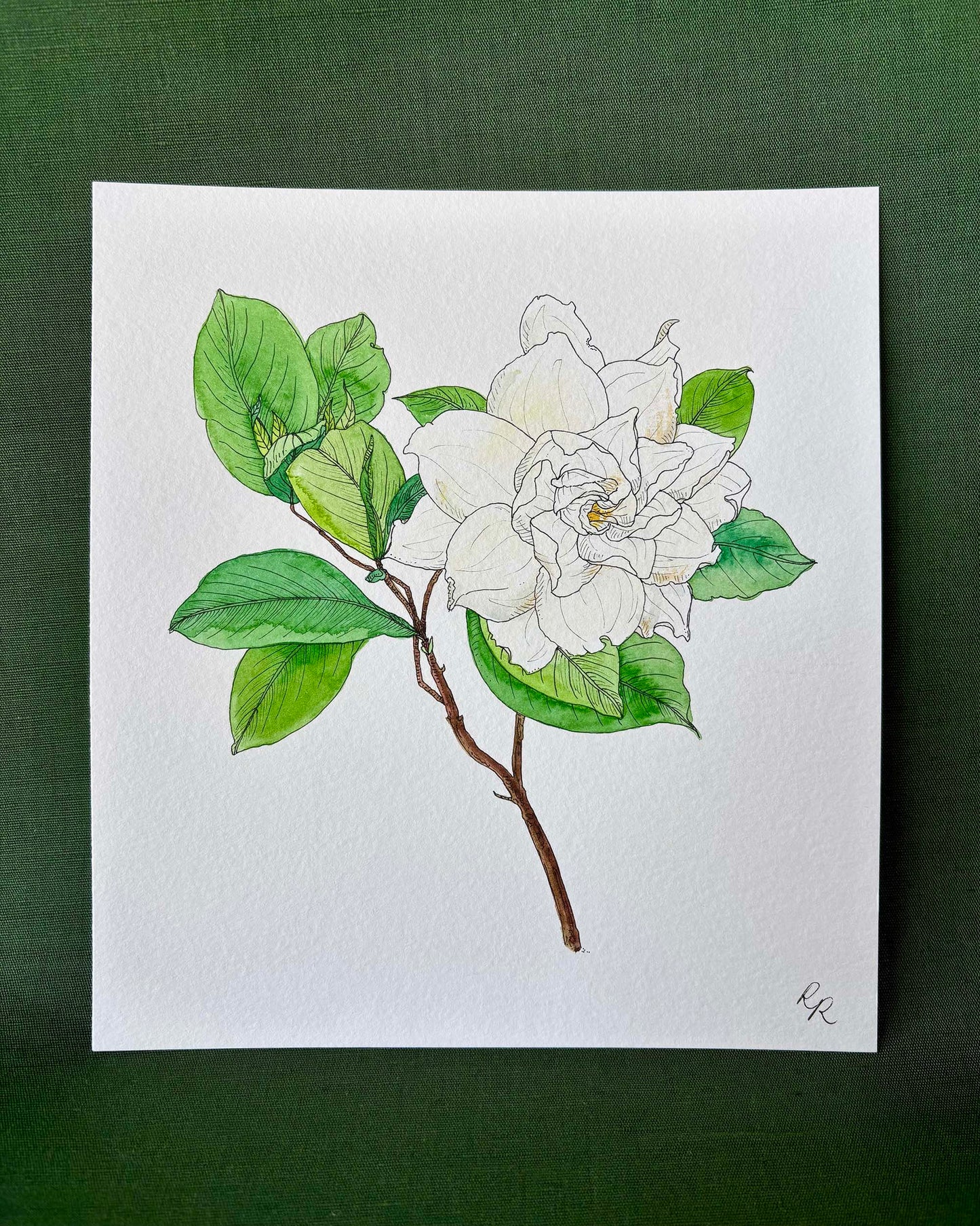 A botanical art print of a white gardenia with green leaves on a brown stem
