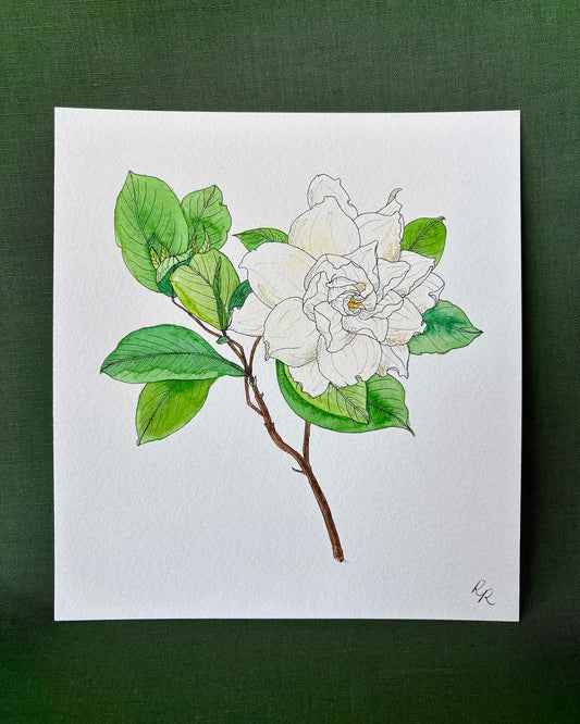 A botanical art print of a white gardenia with green leaves on a brown stem