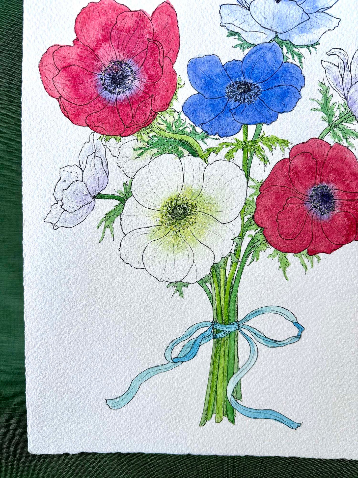 Anemone