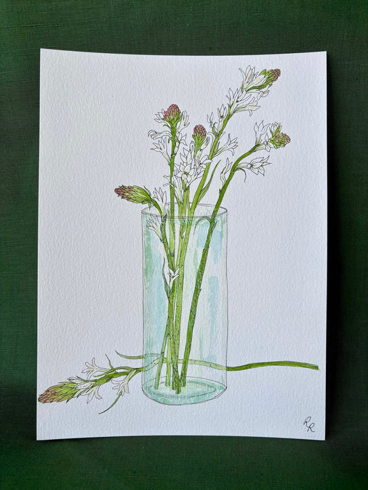 Tuberose