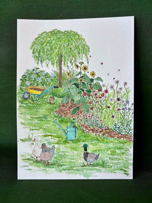A watercolor garden illustration featuring a weeping tree, sunflowers, a wheelbarrow, a watering can, and three ducks.
