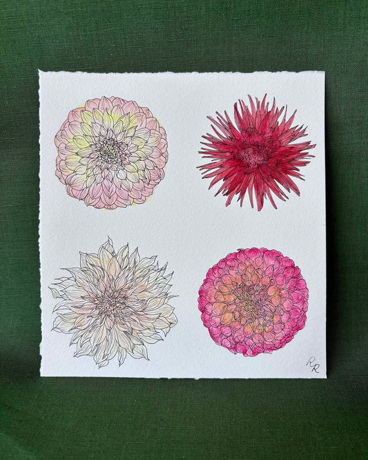 A square art featuring four hand-drawn dahlia flowers in various colors and styles, arranged in a two-by-two grid on a white sheet of textured paper