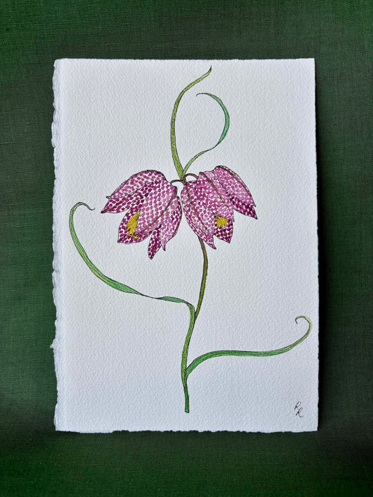 A botanical art print depicting two pink and purple checkered fritillary flowers with green stems on textured white paper