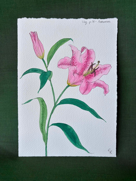 Lily