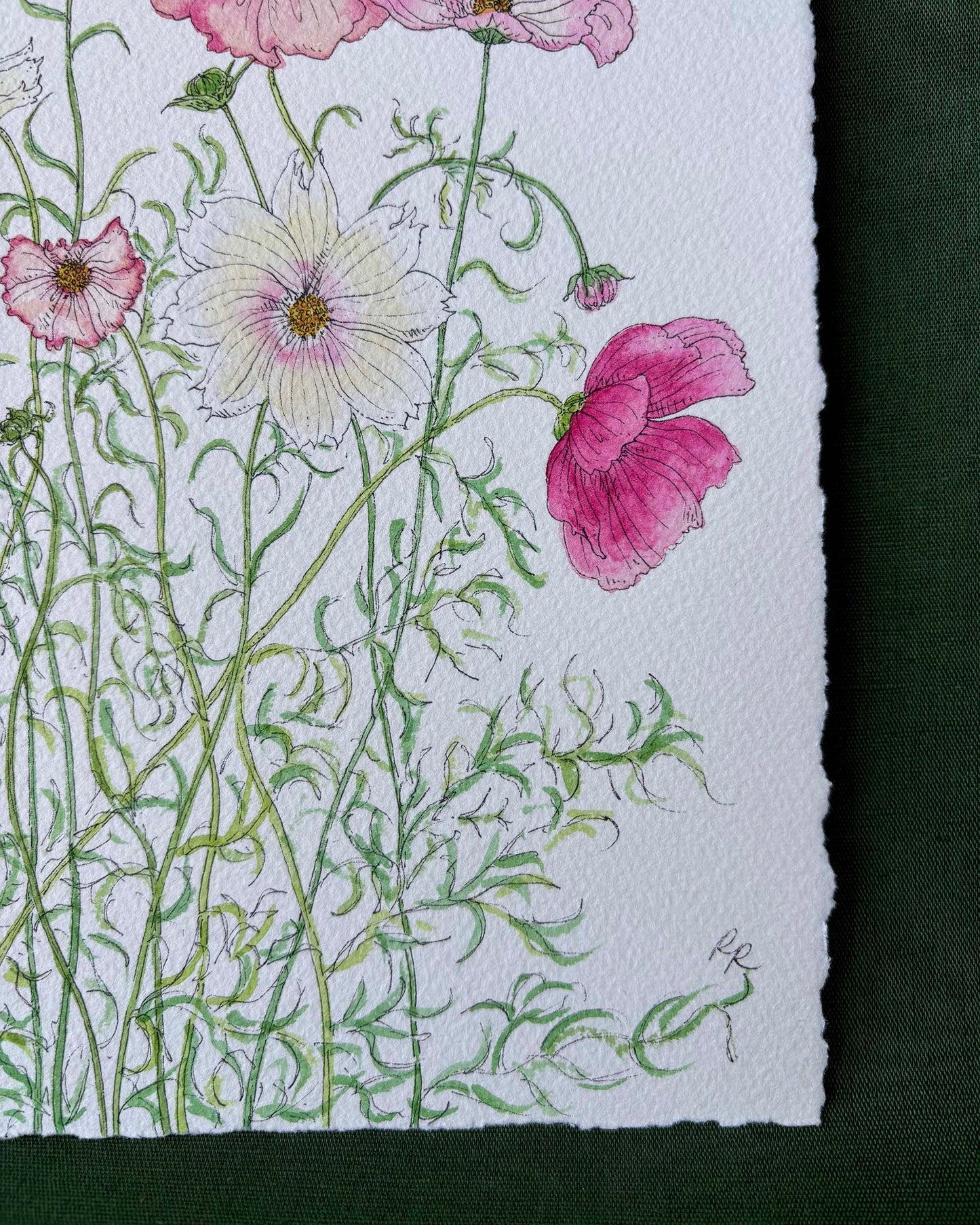 Cosmos