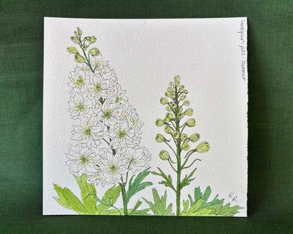 A square botanical art print featuring white larkspur flowers and green stems on textured white paper