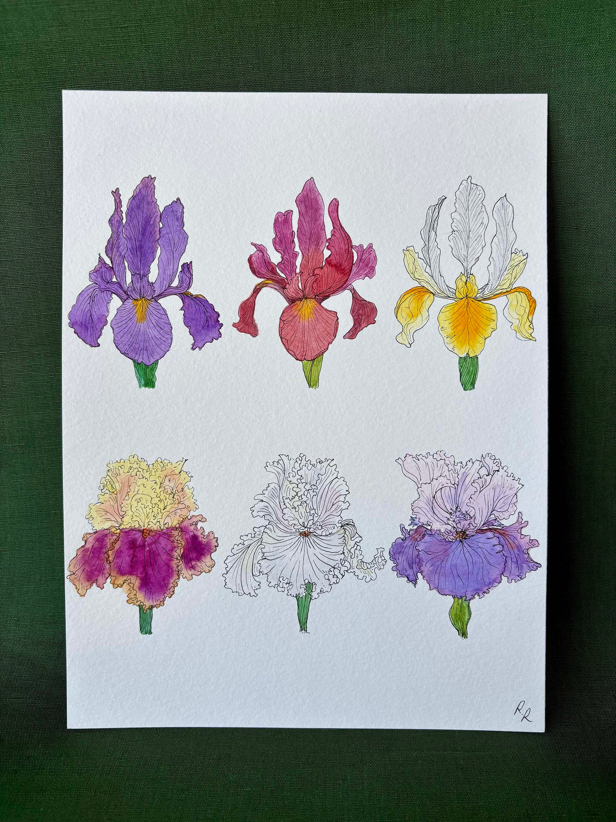 A square art print featuring six watercolor iris flowers arranged in two rows of three on a white background