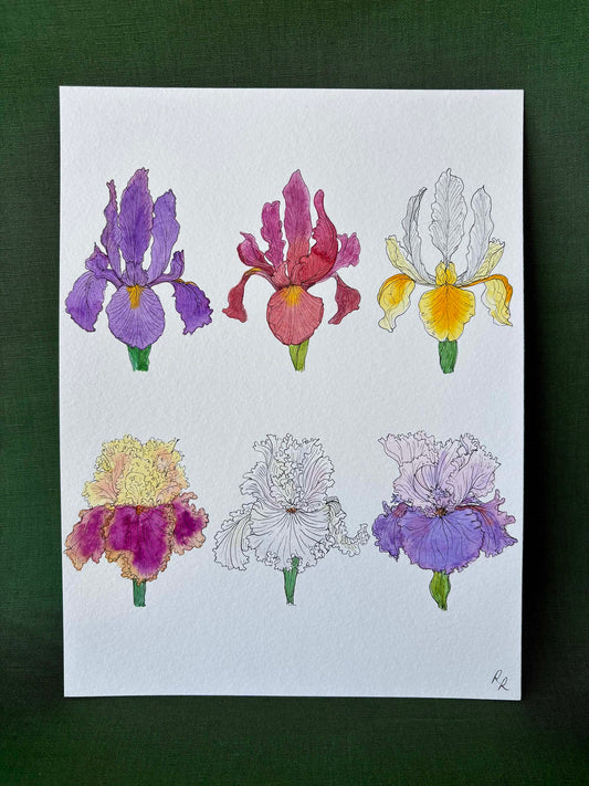 A square art print featuring six watercolor iris flowers arranged in two rows of three on a white background