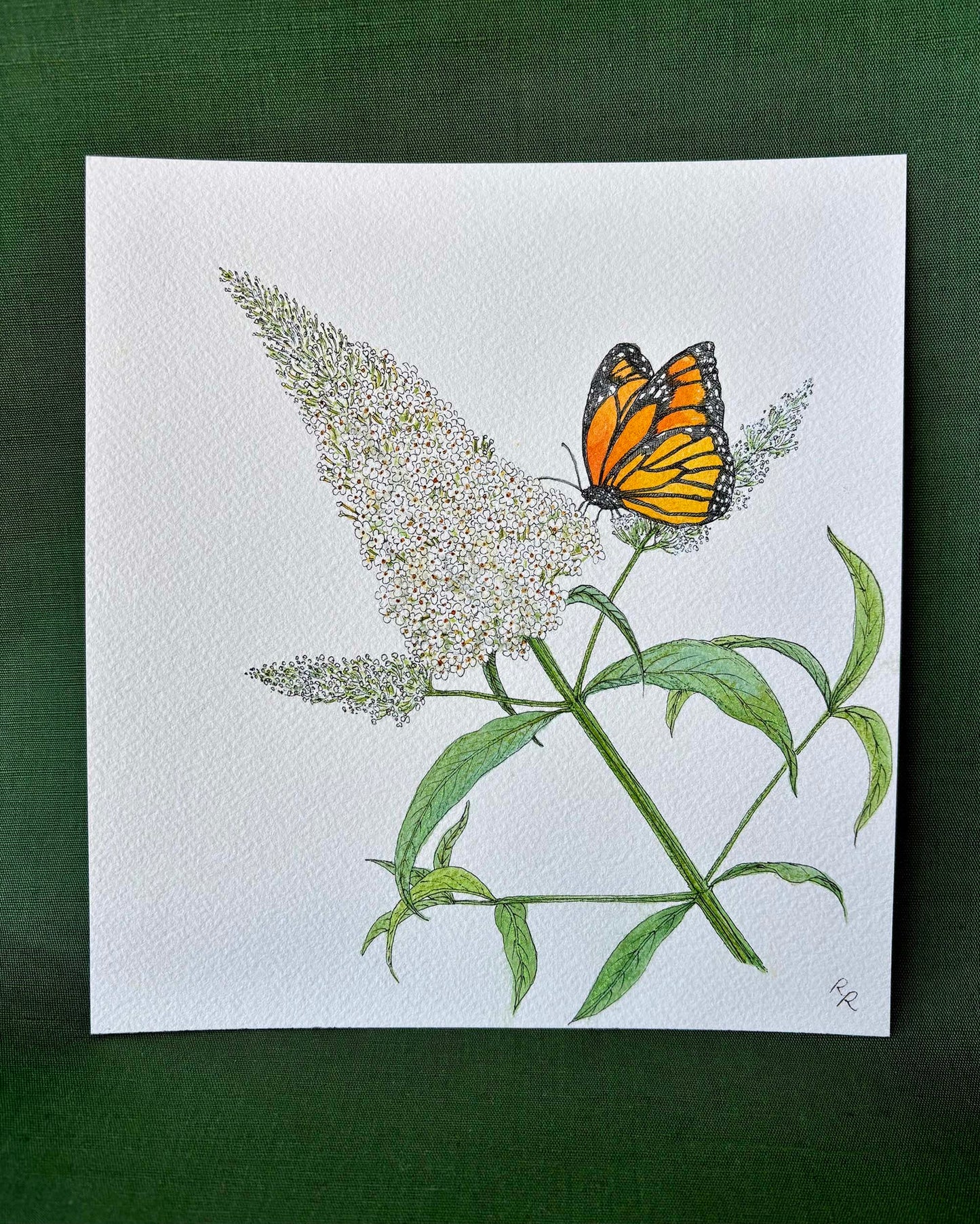 A botanical art print featuring an orange and black butterfly perched on a green flowering plant with white blossoms