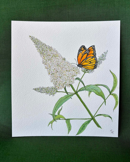 A botanical art print featuring an orange and black butterfly perched on a green flowering plant with white blossoms
