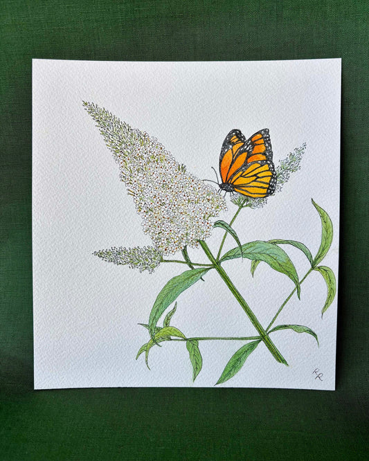 A botanical art print featuring an orange and black butterfly perched on a green flowering plant with white blossoms