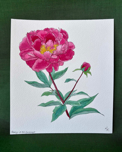 A botanical watercolor painting of a pink peony flower with green leaves and a small bud, shown on a white square paper